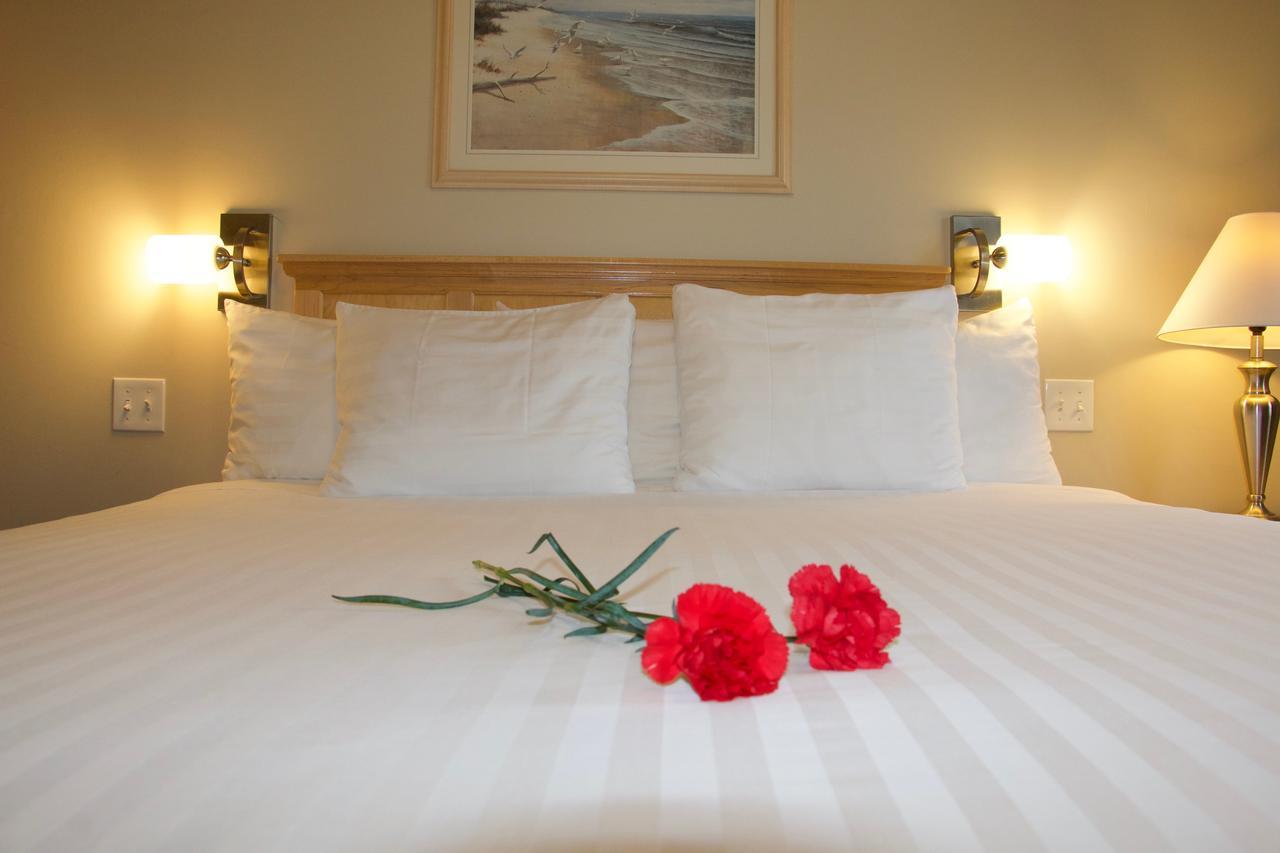 Rum Runner Inn Lunenburg Dış mekan fotoğraf